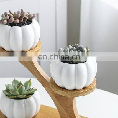 Home Decor Accessories Factory Direct Sale White Ceramic Flower Pot Stand Bonsai Pumpkin Shape Indoor Plant Pots