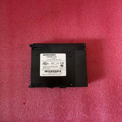 IC693MDL753H General Electric Company Output Module