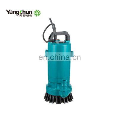 Mini Submerged Electric Submersible Clean Water Pump With Float Switch photo-2