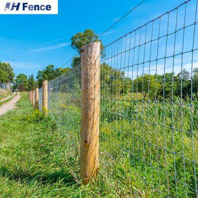 Rinderweidezaun und langlebiger Schafdrahtzaun für Sieb-, Kettennetzzaun- und Filteranwendungen