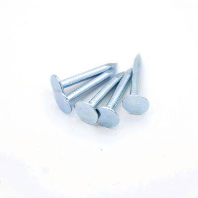 Felt Nails With Mill Test Report - Reliable Fasteners for Roofing Projects photo-5