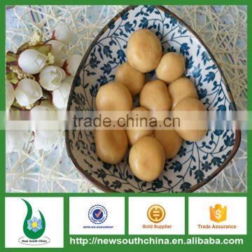 Supplier cheap wholesale canned food whole/slice/pieces with factory price