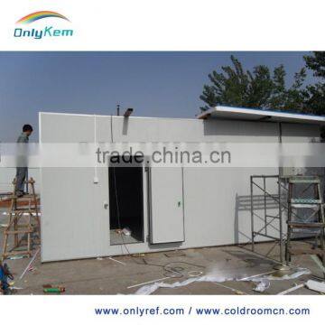 Big Freezer/cold Room Insulated PU Sandwich Panel Supplier's Choice photo-4