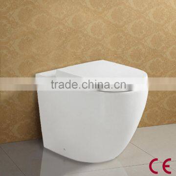 Wash Down P Trap Wall Hung CE Toilet