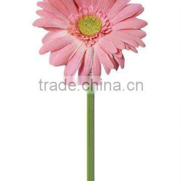 24.4" Artificial Gerbera, Silk Gerbera, Gerbera Stem