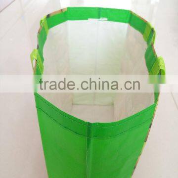 Vietnam Reusable Laminated Shopping Bag photo-3