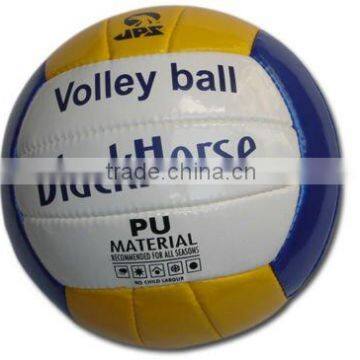 PU Volleyballs