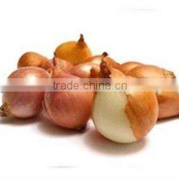 fresh red shallot size of 2-4cm with big supply quantity