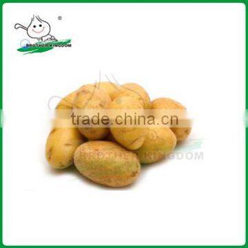 potato/China potato/fresh potato