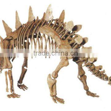 Dragon Culture--Museum Quality Dinosaur Skeleton Model