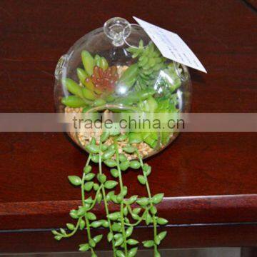 CIA 2016 New Design High Quality Artificial Succulent Plants Mini Succulent Plant photo-5