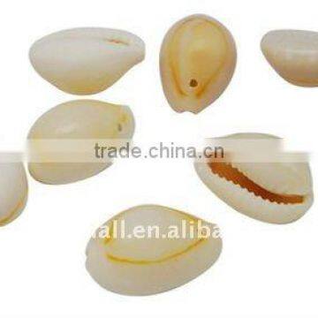 Spiral Shell Beads, Mixed Seashell(BSHE-S056)