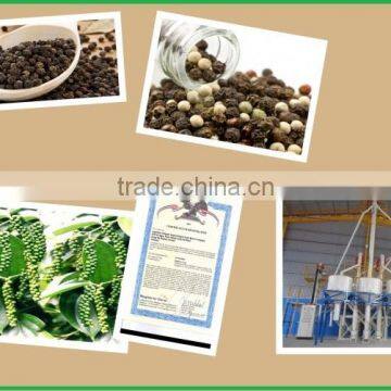 black pepper/ Vietnam black pepper/ India black pepper