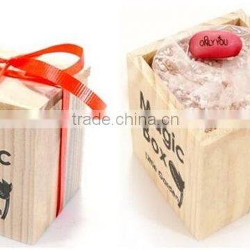 Birthday Gift Ideas Magic Logo Bean Plant, Custom Message Bean Plant photo-4