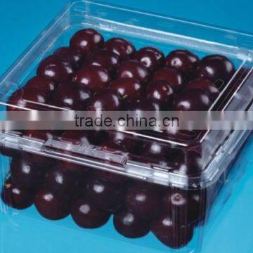 Hot sale Disposable Transperant fruit packaging plastic boxes for cherry