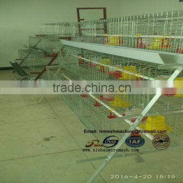 Zimbabwe Market Popular Poultry Cage Layer Chicken Cage for Sale photo-3