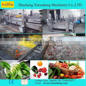 Automatic Vegetable Fruit Air Bubble Washing Machine; Bubble washing for vegetable fruit