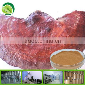 High quality Ganoderma lucidum extract powder