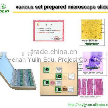 school supplies prepared microscope slides