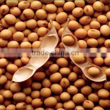 High Quality Crude degummed soybean Oil