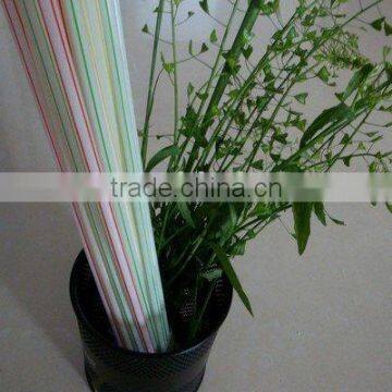 Drinking Straws with Stripe