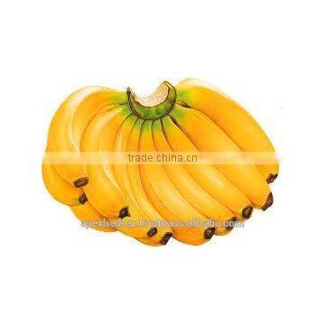 Banana Fruit Pulp Powder / Banana Powder photo-3