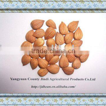 ALIBABA USED EXCLUSIVELY HPS bitter apricot kernels(GF2)