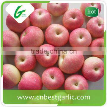 Chinese fresh sweet red gala apple