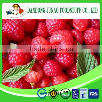 frozen fresh fruit manufacturer raspberry harvester