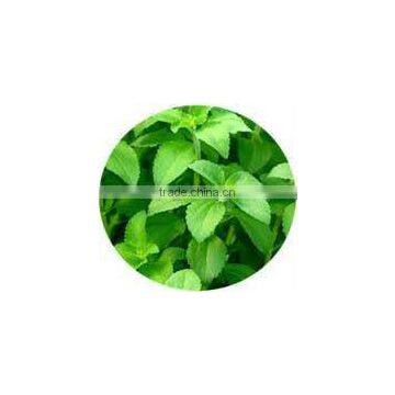 2015 High Purity Stevia Reb-A98% photo-2