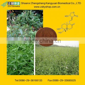 Andrographis Paniculata Extract Andrographolide from GMP Manufacturer