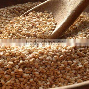 Sesame seed sortex