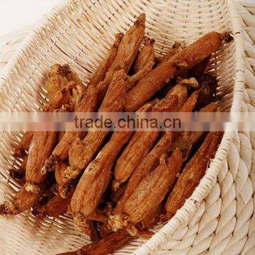 20/32/48/64pieces Red ginseng root (Korean red ginseng root) without tails