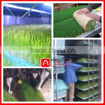 nursery seedling tray vegetable planter hydroponic fodder machine