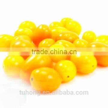 F1 Cherry Golden Yellow Tomato Sweetie Seeds