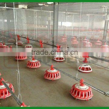 automatic poultry chicken farming equipment / system