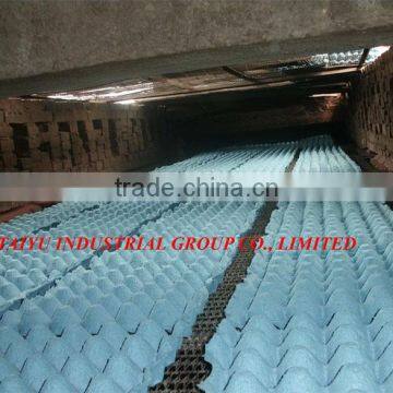 2014 Year TAIYU Recycled Pulp Paper Egg Trays (The cheapest egg tray for sell)