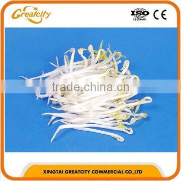 Electric Fruit and Vegetable Bean Sprout Cleaning Machine photo-3