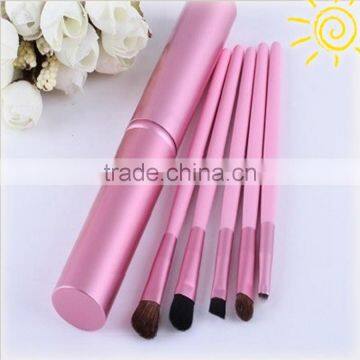 Convenient for travel 5pcs eye region Cosmetic Brushes