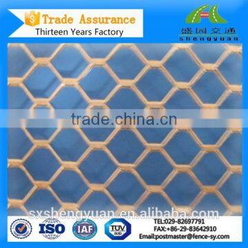 Expanded Titanium mesh