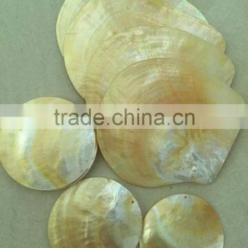 polished mop whitelip shell