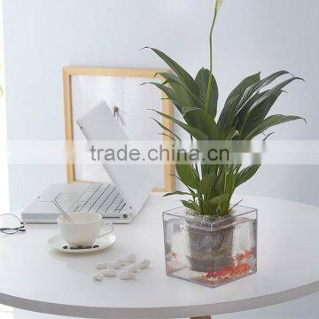 Round Clear Plastic Orchid Pot photo-4