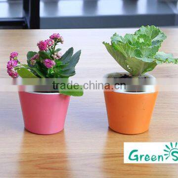 Cheap Succulent Planter Small Flower Pots photo-2
