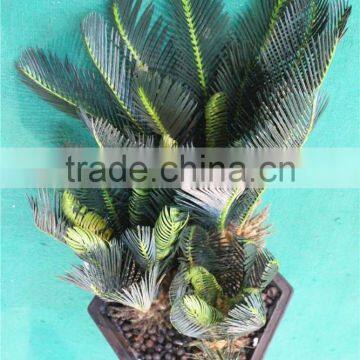 Home Garden Decorative 30cm to 200cm Height Artificial Bonsai Cycas EST11 2703 photo-4