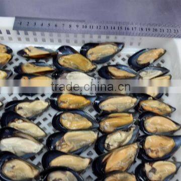 IQF Half Shell Blue Mussel