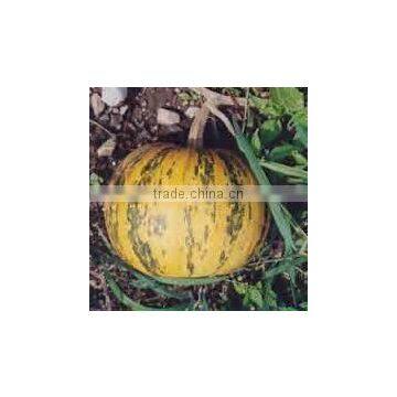 Cucurbita Pepo Extract