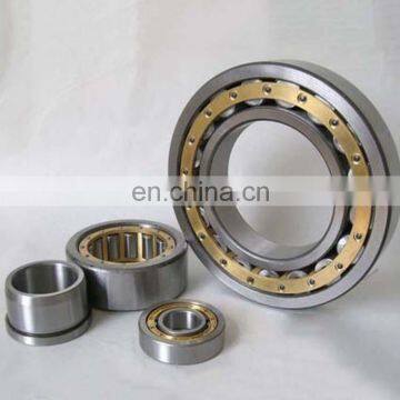 C ylindrical Roller Bearing N-303 N303 KOYO N-302 N302 N-301 N301 N-264 N264 N-260 N260 N-256 N256 N-248 N248 N-244 N244