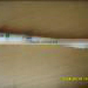 Plastic Recorder, Plastic Flute photo-2