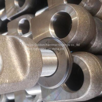 Hydraulic Cylinder Forgings