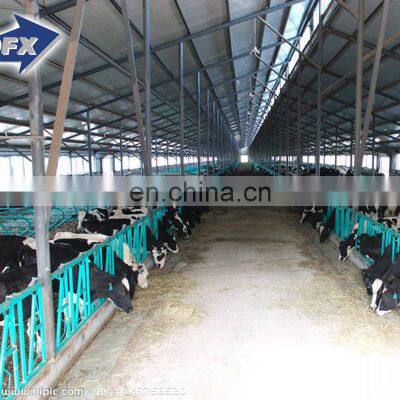 New Design Large Metal Modern Rain Resistance Steel Structure Chicken Home Poultry House Cow Farm Building